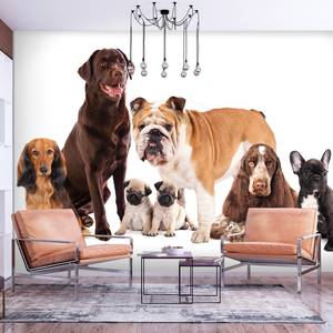 Vlies-fotobehang Dog Integration vlies - meerdere kleuren - 450 x 315 cm