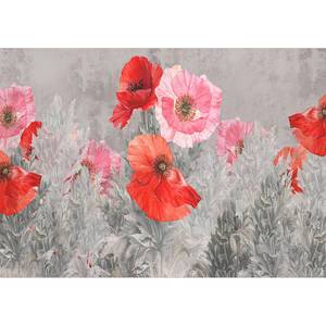Vlies Fototapete Gray Meadow Vlies - Grau / Rot - 400 x 280 cm