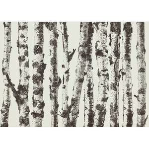 Vlies-fotobehang Stately Birches vlies - grijs - 100 x 70 cm