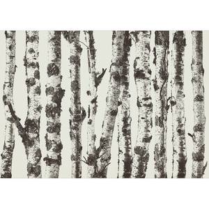 Vlies Fototapete Stately Birches Vlies - Grau - 250 x 175 cm