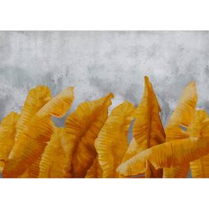 Papier peint intissé Banana Leaves Intissé - Gris / Orange - 100 x 70 cm