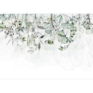 Papier peint intissé Foggy Nature Intissé - Vert - 300 x 210 cm