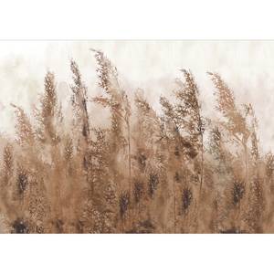 Papier peint intissé Tall Grasses Intissé - Marron / Gris - 400 x 280 cm