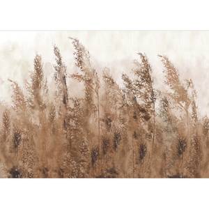 Vlies-fotobehang Tall Grasses vlies - Bruin/grijs - 100 x 70 cm