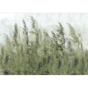 Papier peint intissé Tall Grasses Intissé - Vert foncé / Gris - 300 x 210 cm