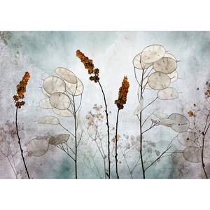 Papier peint intissé Lunaria in Meadow Intissé - Multicolore - 250 x 175 cm