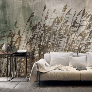 Vlies-fotobehang Water Grasses vlies - grijs/bruin - 400 x 280 cm