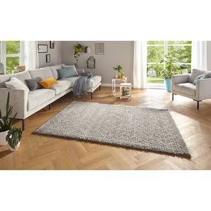 Hochflorteppich Toboso Polypropylen - Grau / Creme - 120 x 170 cm