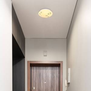LED-plafondlamp Lava acrylglas/ijzer - 1 lichtbron - Diameter: 26 cm