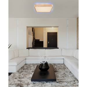 Lampada da soffitto a LED Leanara I Vetro acrilico / Ferro - 1 punto luce - Marrone - Larghezza: 55 cm