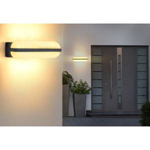 LED-outdoorlamp Honna II acrylglas/aluminium - 1 lichtbron