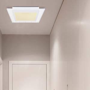 LED-Deckenleuchte Samy Acrylglas / Eisen - 1-flammig - Breite: 40 cm