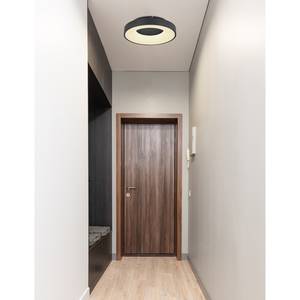 Lampada a LED da soffitto Jolli I Vetro acrilico / Ferro - 1 punto luce - Nero
