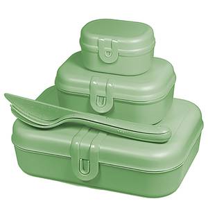 Lunchbox Pascal Ready I (4 éléments) Polypropylène / Épicéa - Vert foncé