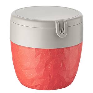 Lunchbox Bentobox L Recycle Polypropylène / Épicéa - Rouge