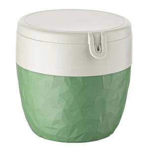 Lunchbox Bentobox L Recycle polypropeen/sparrenhout - Groen