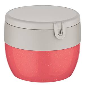 Lunchbox Bentobox M Recycle Polypropylen / Fichte - Rot