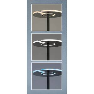 LED-Stehleuchte Dent V Eisen - 2-flammig