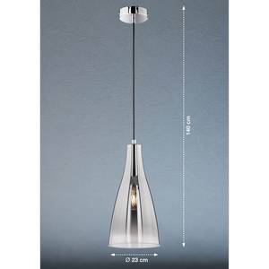 Hanglamp Zeal III spiegelglas/ijzer - 1 lichtbron