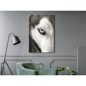 Quadro Dogs Look Materiali a base di legno e lino - Nero-Bianco