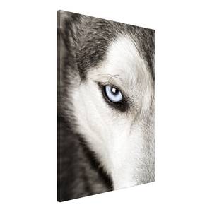 Wandbild Dogs Look Holzwerkstoff & Leinen - Schwarz-Weiß