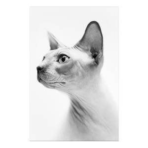 Quadro Hairless Cat Materiali a base di legno e lino - Nero-Bianco