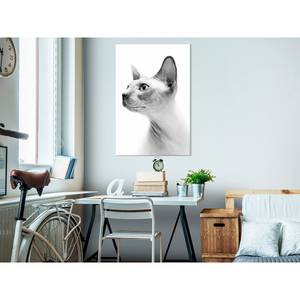 Wandbild Hairless Cat Holzwerkstoff & Leinen - Schwarz-Weiß