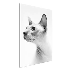 Wandbild Hairless Cat Holzwerkstoff & Leinen - Schwarz-Weiß