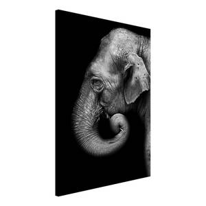 Afbeelding Portrait of Elephant verwerkt hout & linnen - zwart-wit