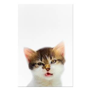 Afbeelding Vexed Cat verwerkt hout & linnen - meerdere kleuren