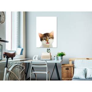 Wandbild Vexed Cat Holzwerkstoff & Leinen - Mehrfarbig