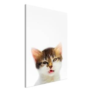 Afbeelding Vexed Cat verwerkt hout & linnen - meerdere kleuren