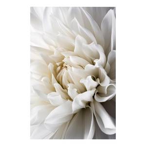 Tableau déco White Dahlia Bois manufacturé et toile - Blanc - 80 x 120 cm