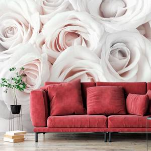 Papier peint Satin Rose Intissé - Blanc - 350 x 245 cm