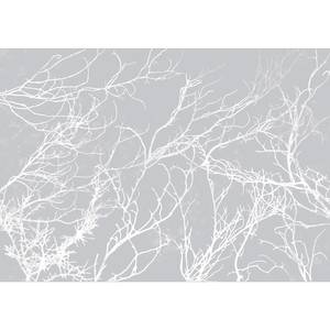 Fotomurale White Trees Tessuto non tessuto - Grigio - 200 x 140 cm