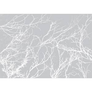 Papier peint White Trees Intissé - Gris - 400 x 280 cm