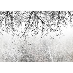 Fototapete Natural Brightness Vlies - Schwarz-Weiß - 450 x 315 cm