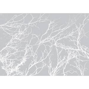 Papier peint White Trees Intissé - Gris - 250 x 175 cm