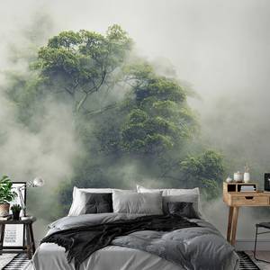 Papier peint Foggy Amazon Intissé - Gris / Vert - 450 x 315 cm