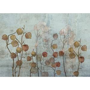 Papier peint Painted Lunaria Intissé - Multicolore - 300 x 210 cm