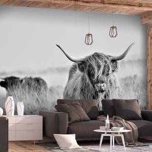 Fotobehang Cow vlies - zwart/wit - 250 x 175 cm