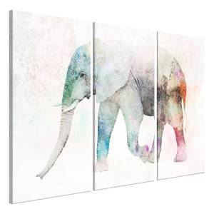 Wandbild Painted Elephant (3-teilig) Holzwerkstoff & Leinen - Mehrfarbig - 120 x 80 cm