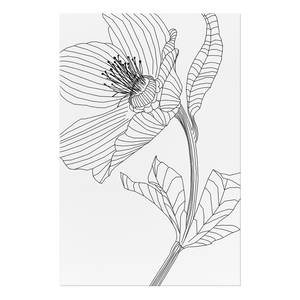 Tableau déco Spring Sketch Bois manufacturé et toile - Noir / Blanc