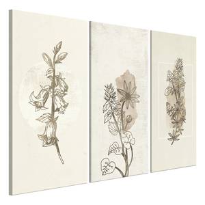 Wandbild Herbarium (3-teilig) Holzwerkstoff & Leinen - Beige
