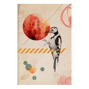 Tableau déco Bird Mail Bois manufacturé et toile - Multicolore