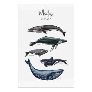 Wandbild Whales Holzwerkstoff & Leinen - Mehrfarbig