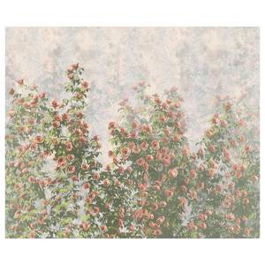 Vlies-fotobehang Wall Roses vlies - meerdere kleuren