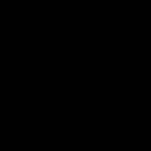 Fotohanger Fotochain ijzer - zwart - 24,765cm x 31,115cm x 7,62cm - Zwart