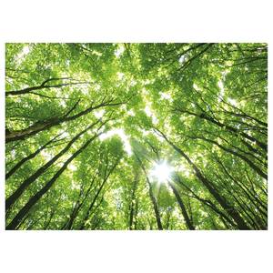 Canvas Treetops Forest Poliestere PVC / Legno di abete rosso - Verde