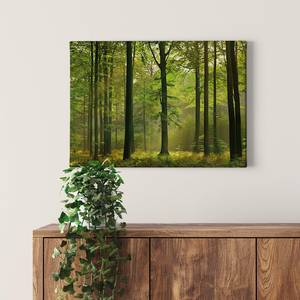 Wandbild Autumn Forest Polyester PVC / Fichtenholz - Grün / Braun